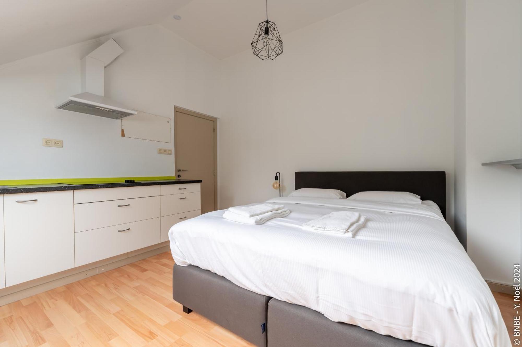 La Louve - Big Place & Garden - Parking Gratuit Villa Brussels